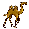 ajmel.gif (6198 bytes)